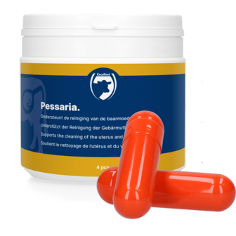 Pessaria Capsule 4 st