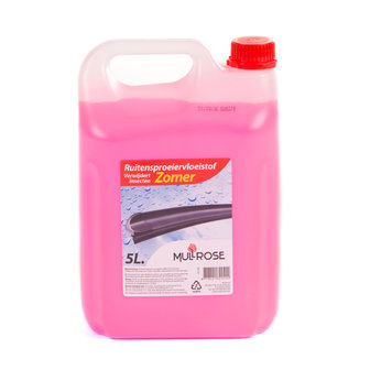 Ruitensproeier antiinsect 5 liter