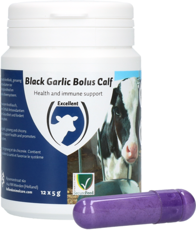 Black Garlic Bolus Calf